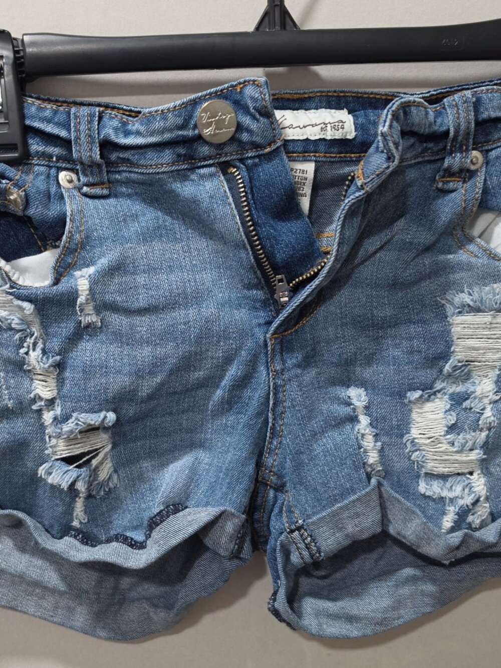 Denim Distressed Shorts